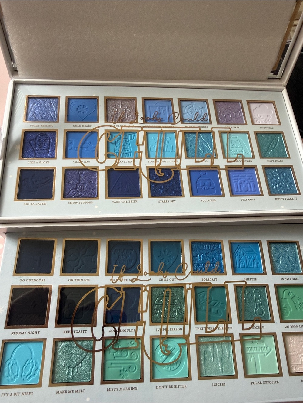 PLOUISE IF LOOKS COULD CHILL EYESHADOW PALETTE - Picture 6 of 6
